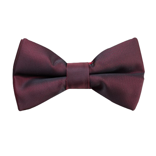 Mens Matte Bow Tie